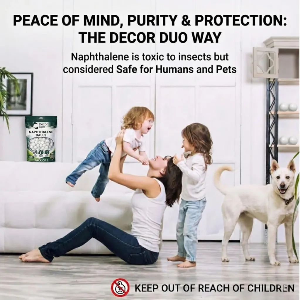 WhatsApp Image 2026-04-02 at 19.07.01 (2).webp