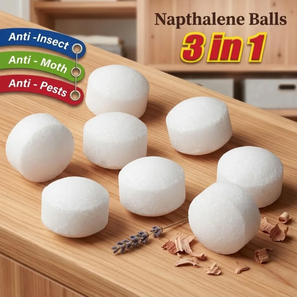 WhatsApp Image 2026-04-02 at 19.07.01.webp